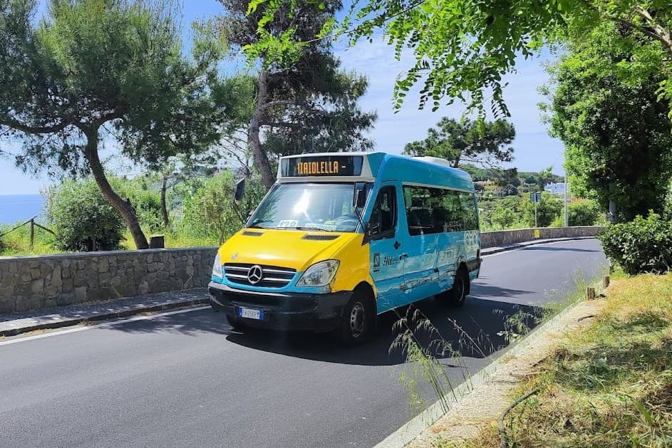 Bus timetables