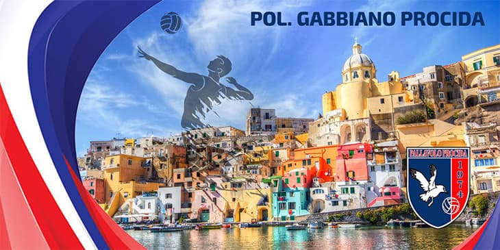 Gabbiano Procida